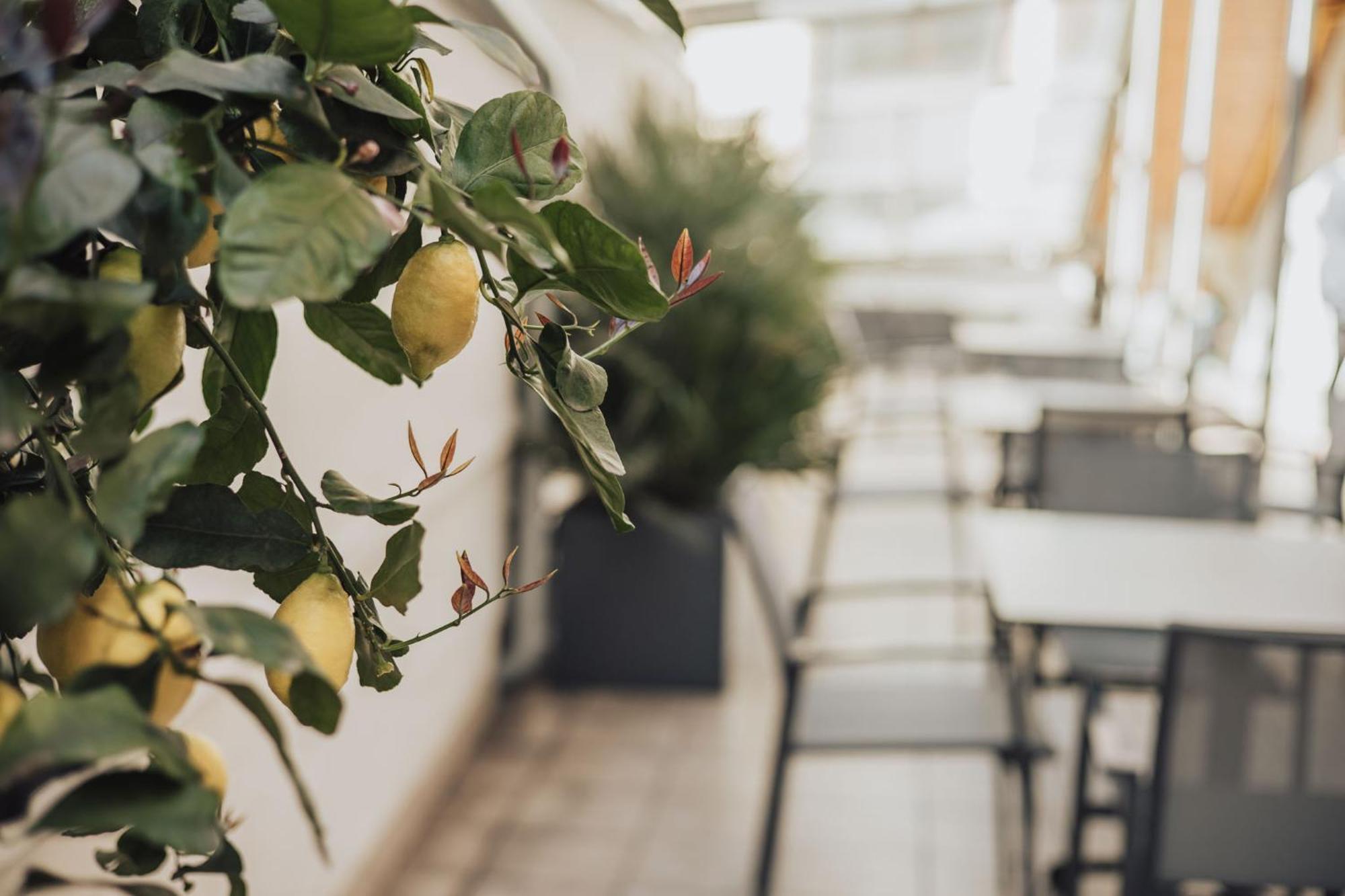 Feichter Hotel & Bistro Больцано Экстерьер фото